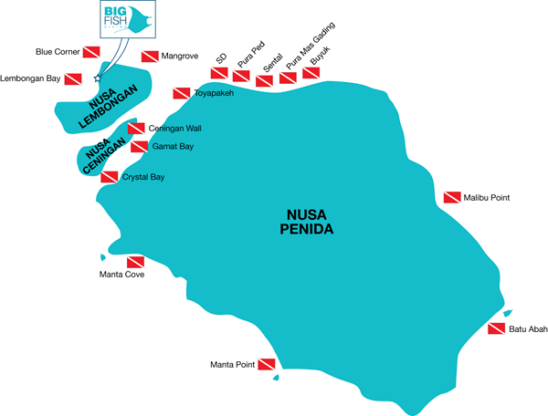 Dive Sites Nusa Lembongan and Nusa Penida